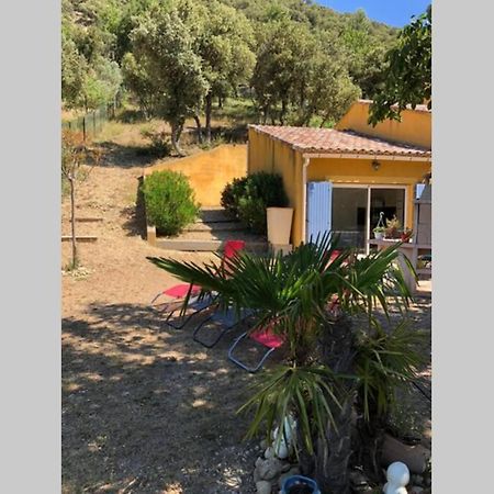 Lou paradiú du verdon Allemagne-en-Provence Extérieur photo
