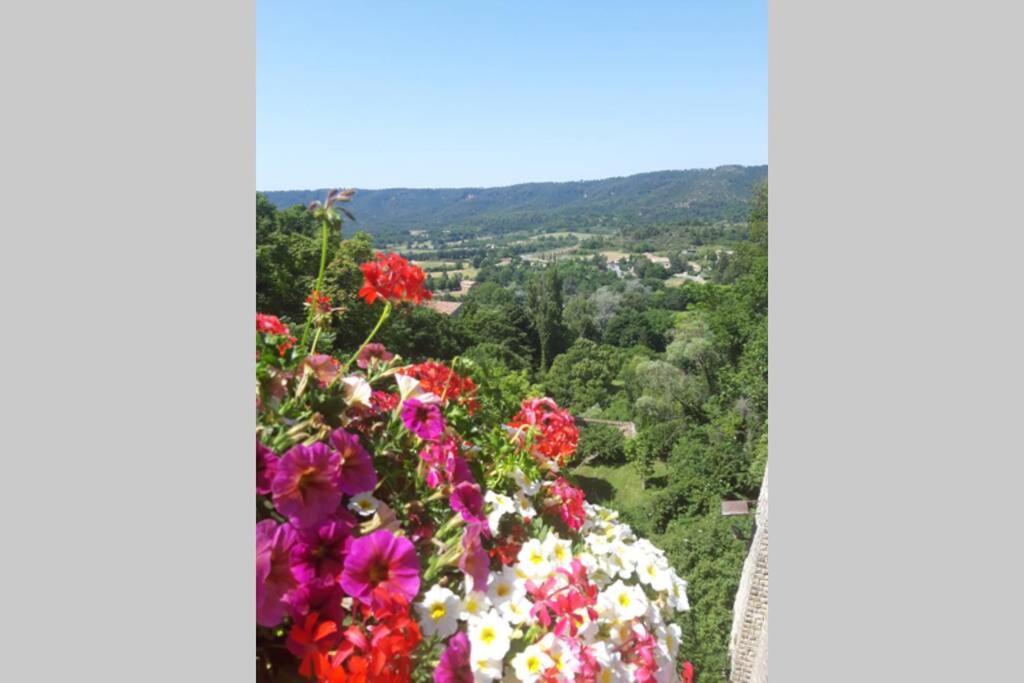 Lou paradiú du verdon Allemagne-en-Provence Extérieur photo
